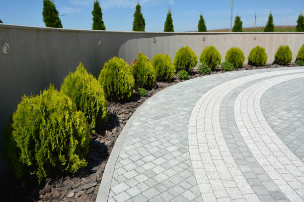 Best Commercial Driveway Pavers  in Elko, NV